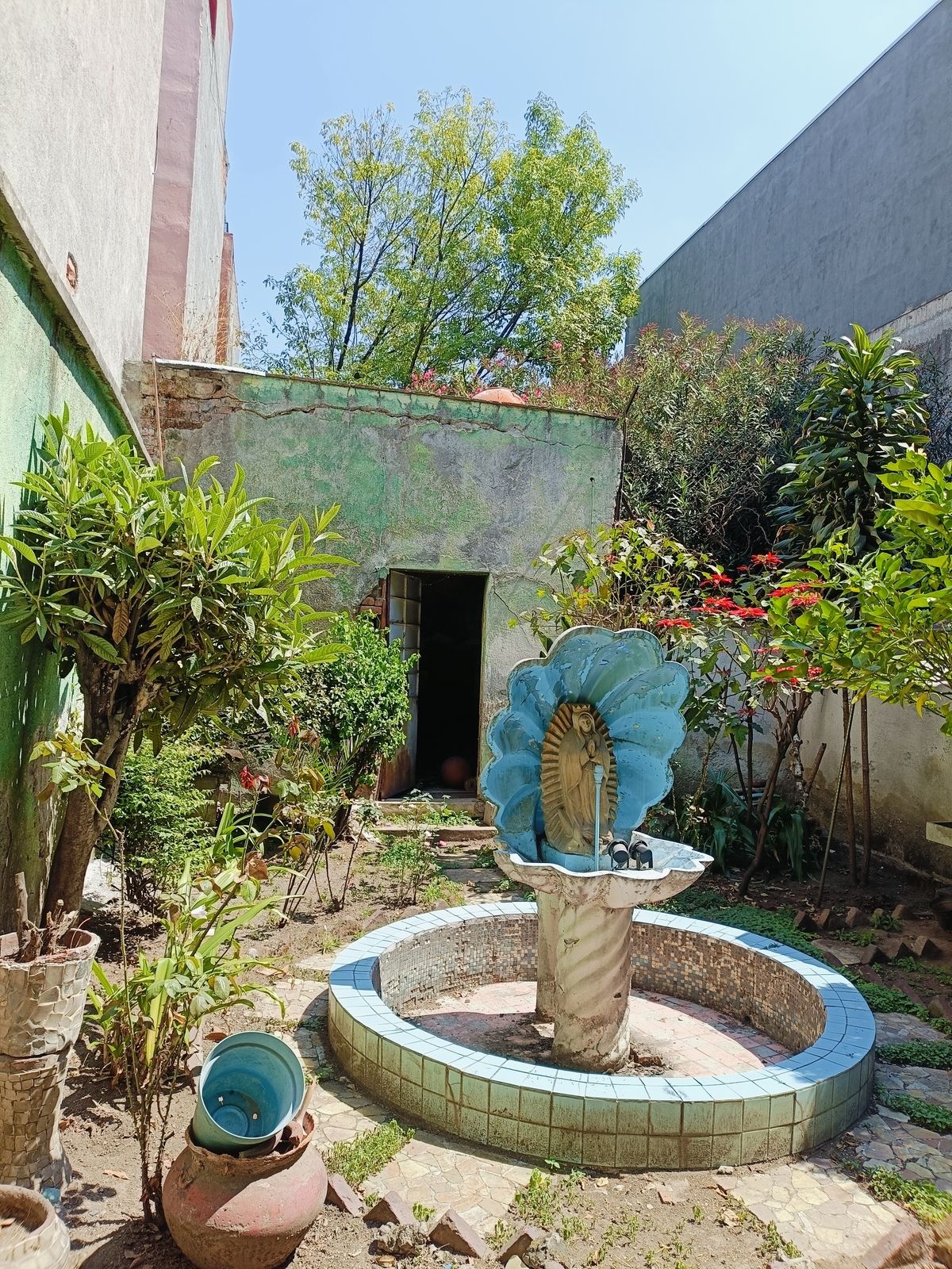 CASA EN VENTA PARA REMODELAR COL. ALGARÍN - foto 3