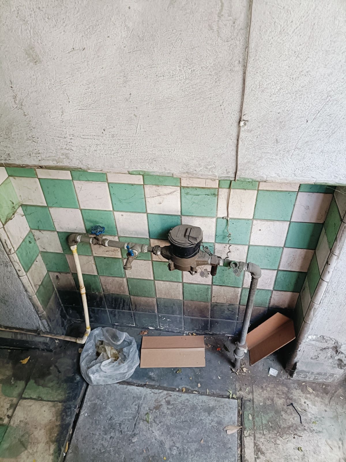 CASA EN VENTA PARA REMODELAR COL. ALGARÍN - foto 5