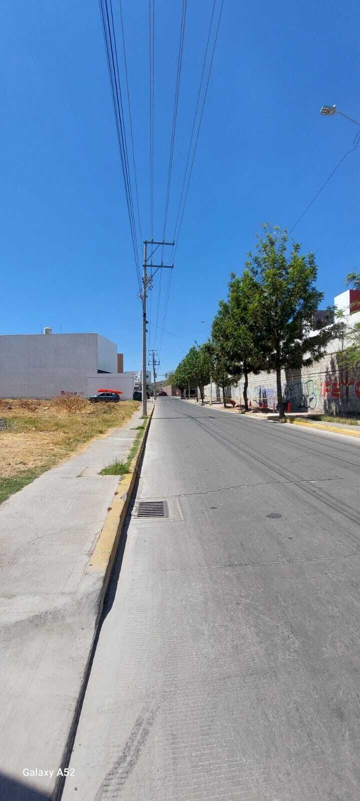 4 de 14