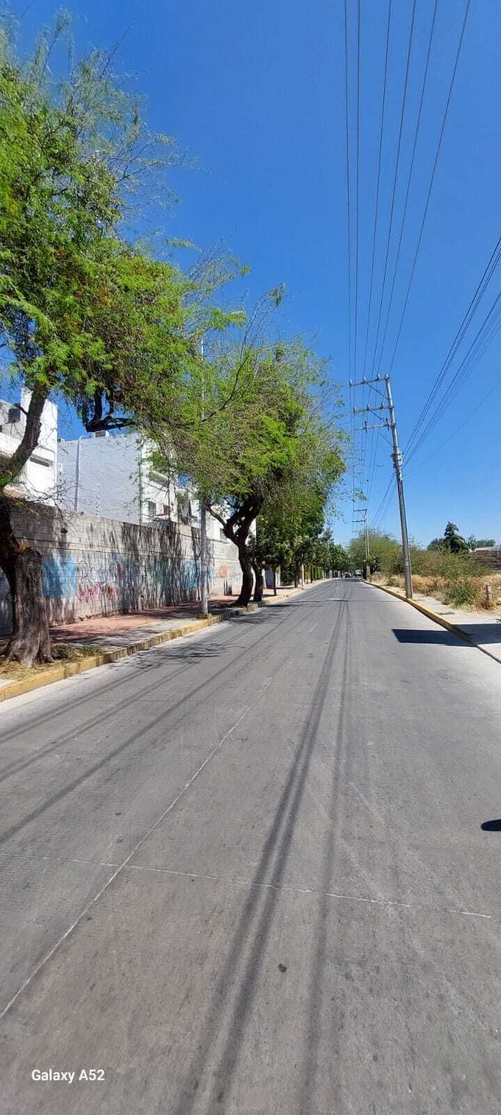 3 de 16