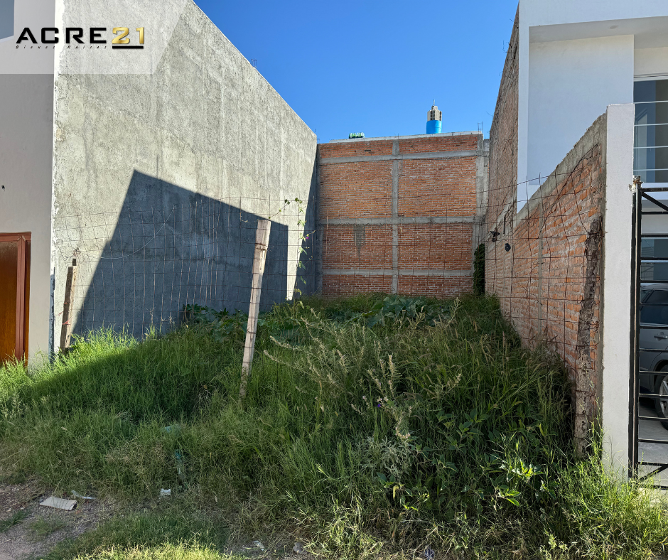 3 de 3