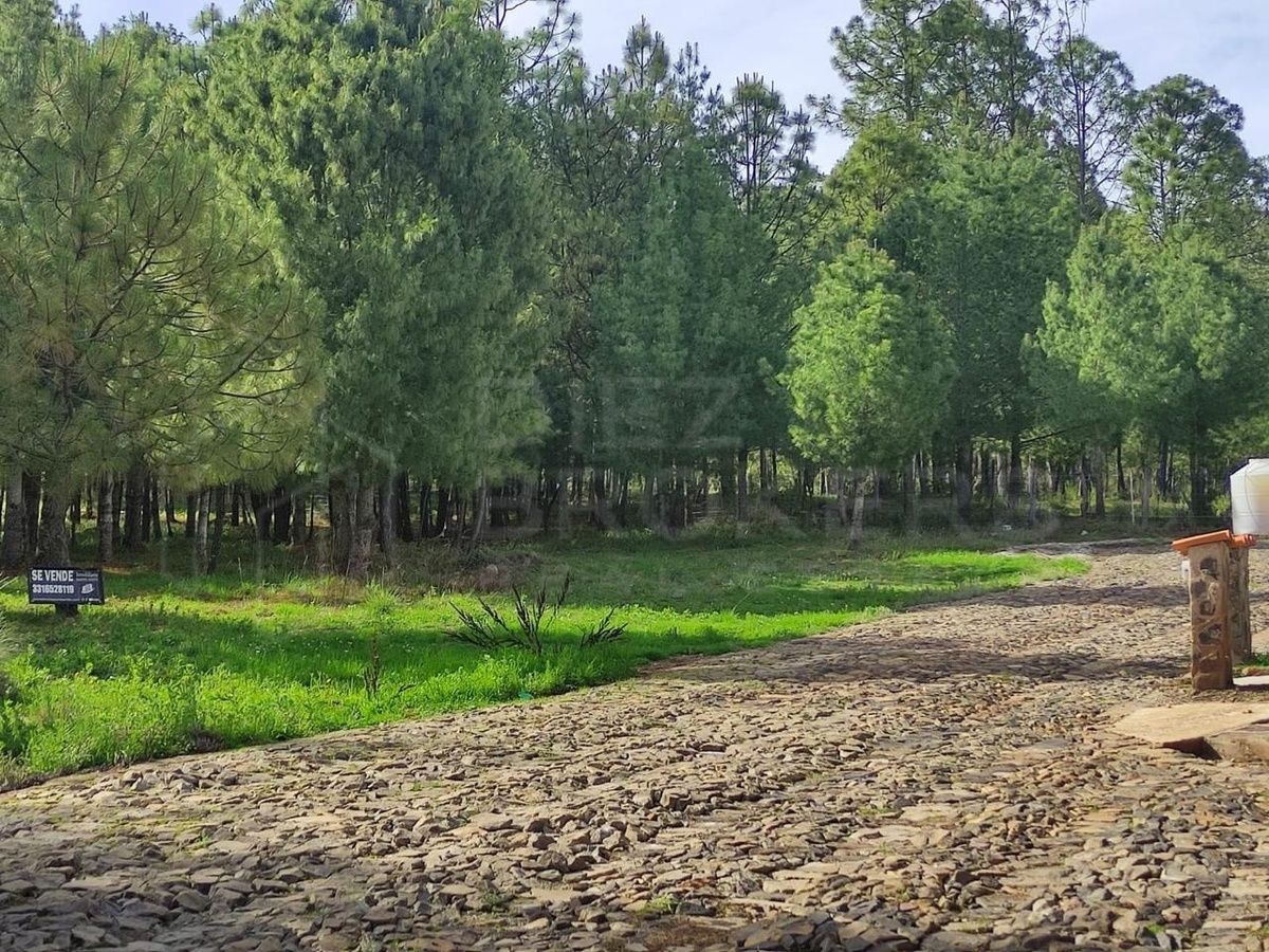 Terreno en Venta - Fraccionamiento Boskania, Atemajac de Brizuela, Jalisco - foto 2