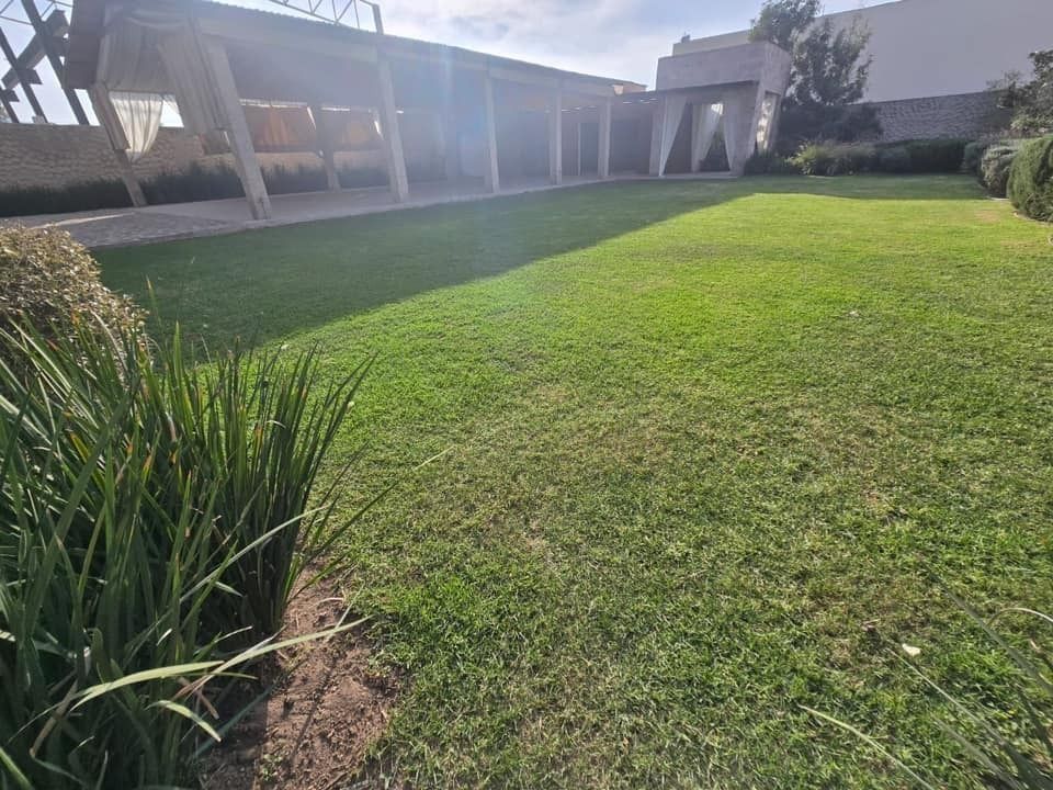 37 de 42