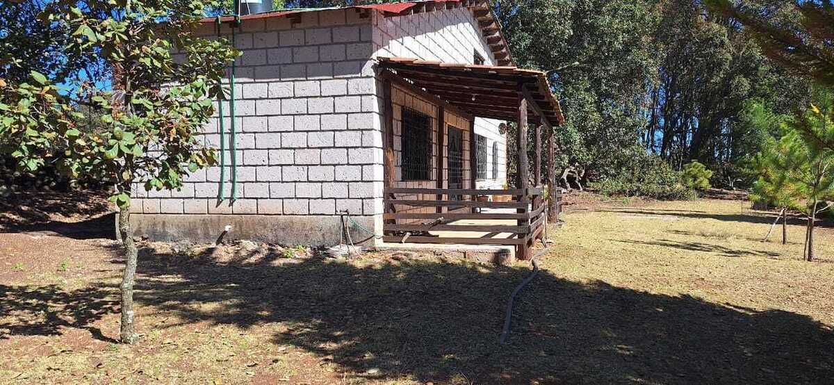14 de 17