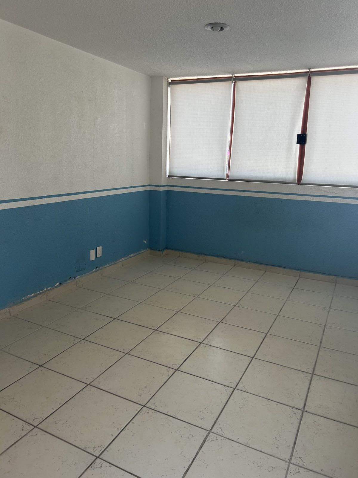24 de 46
