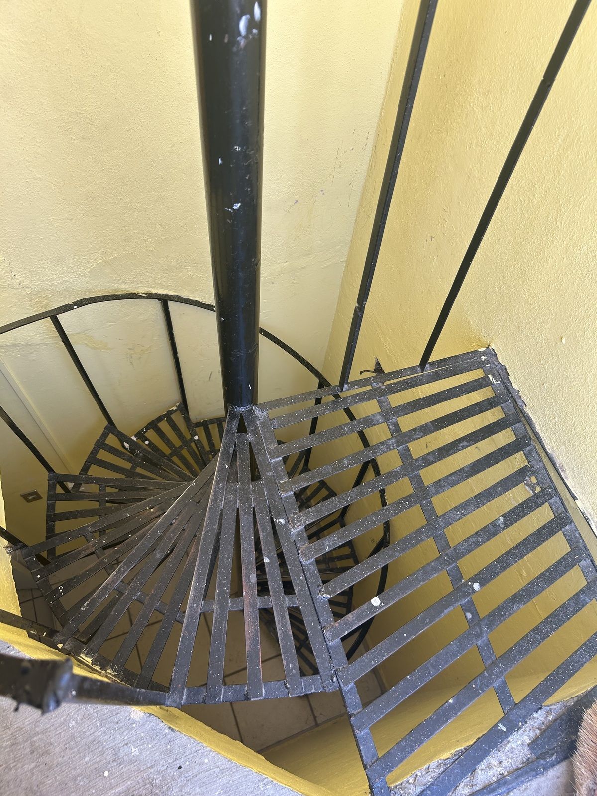44 de 46