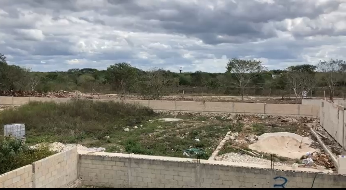 5 de 6