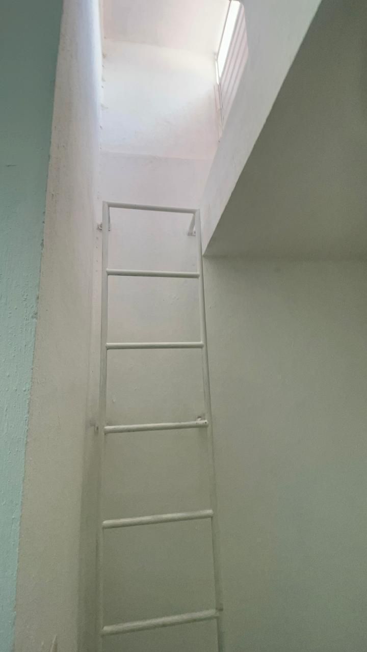 17 de 19