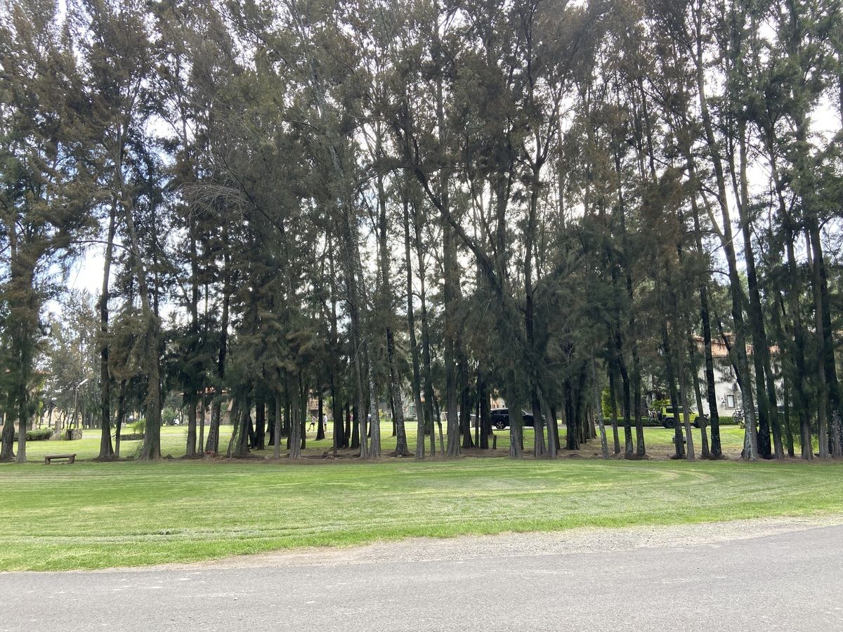 3 de 4