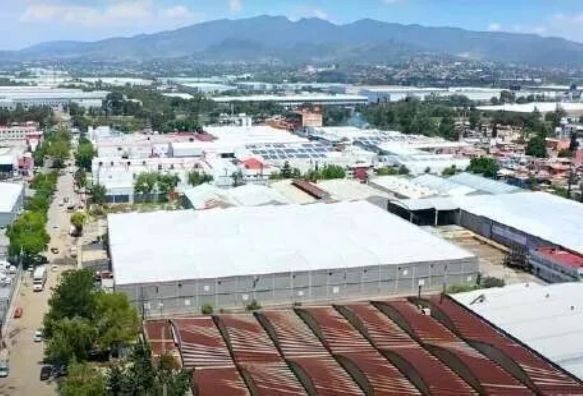 4 de 7