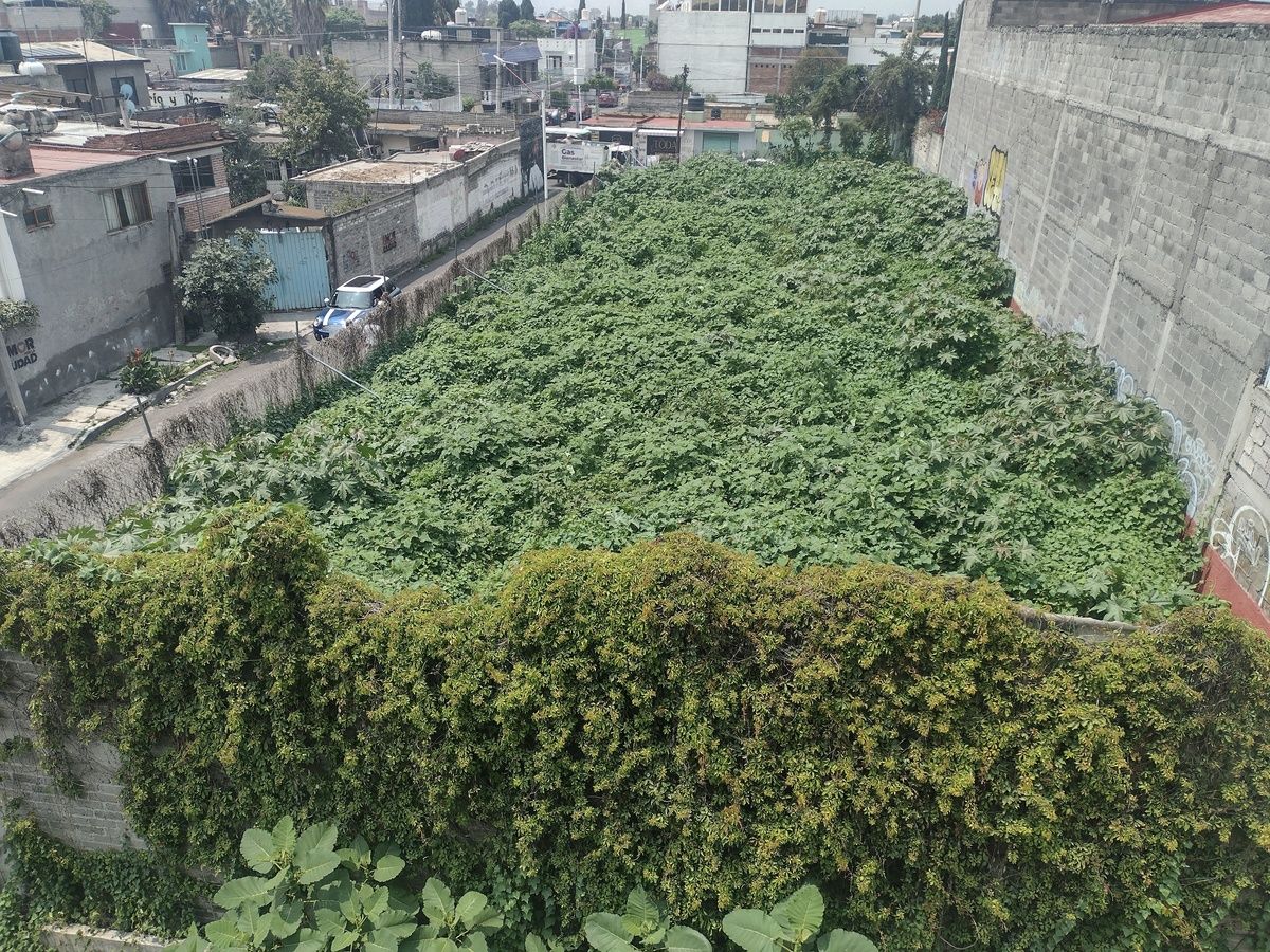 5 de 18
