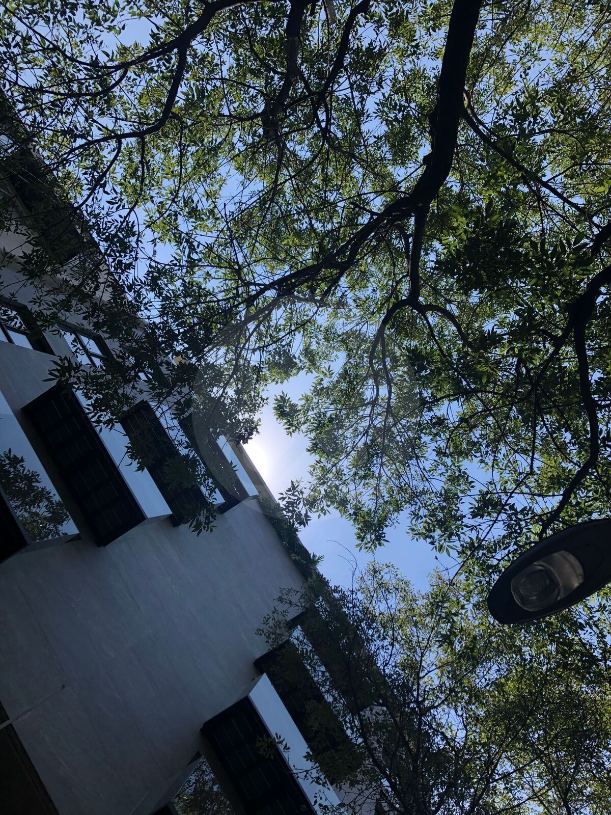 13 de 13