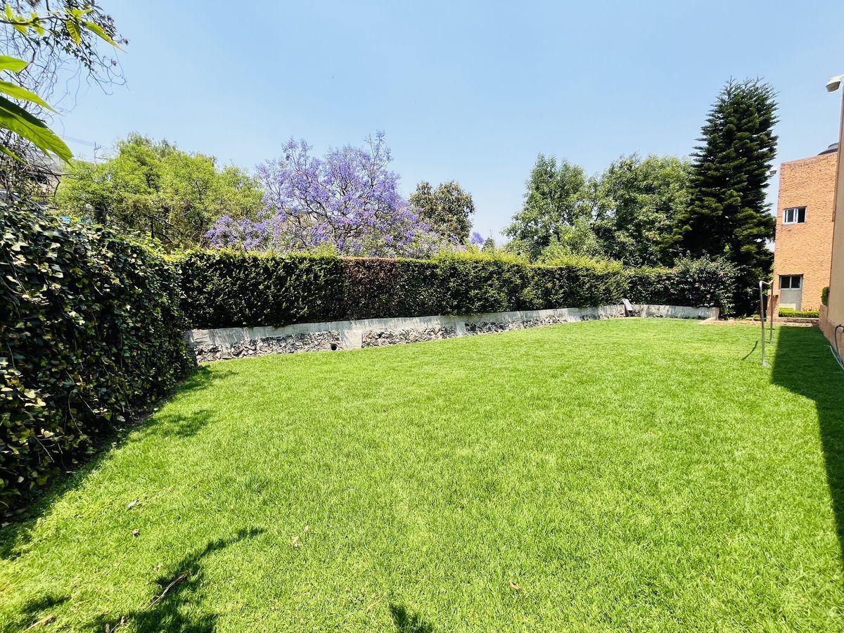 1 de 26: Jardín común