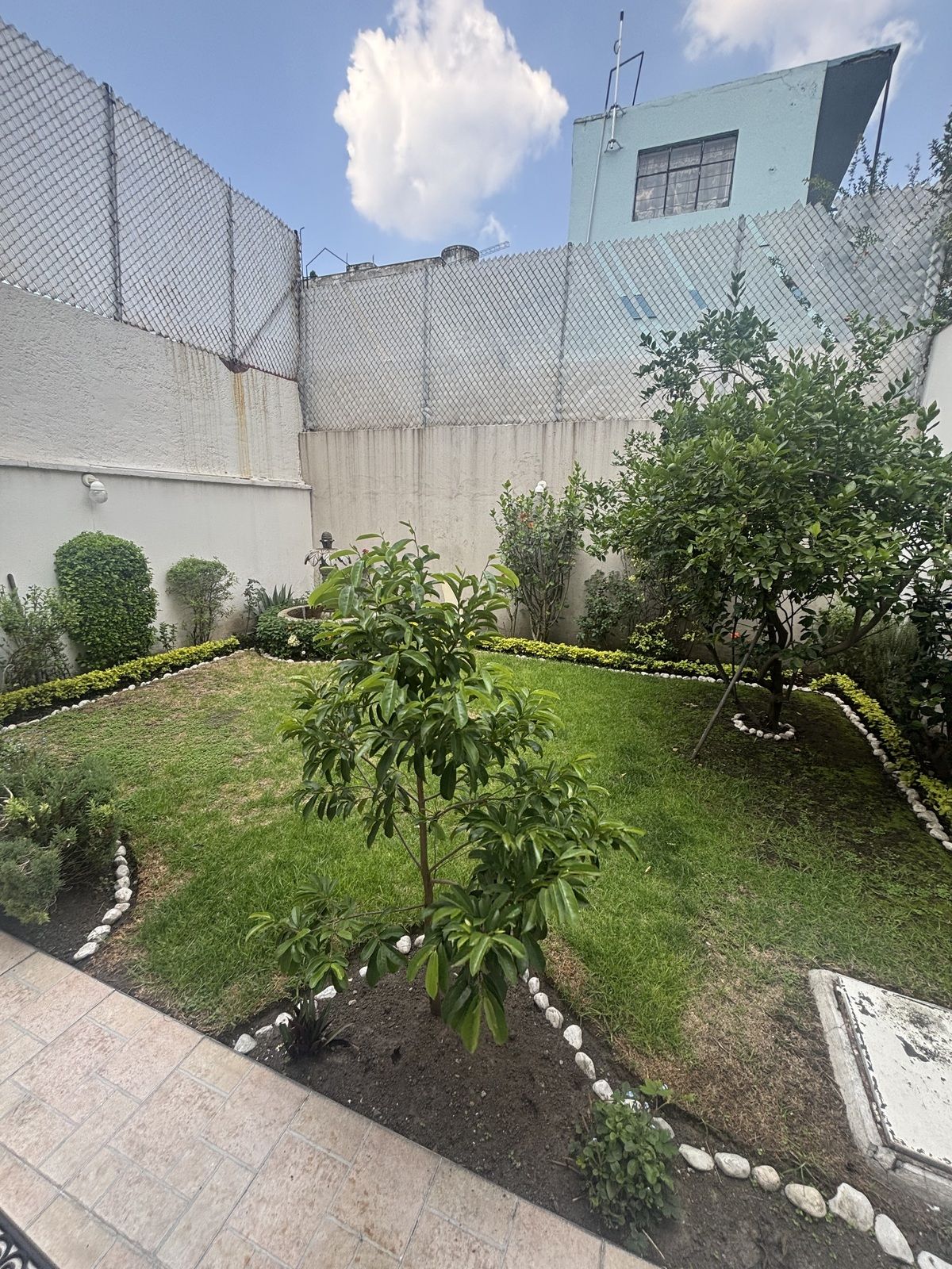 11 de 37
