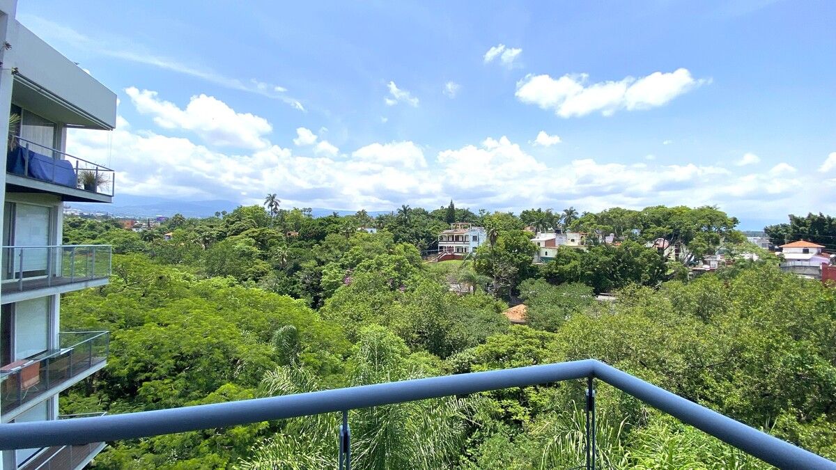Imagen 7 de 10