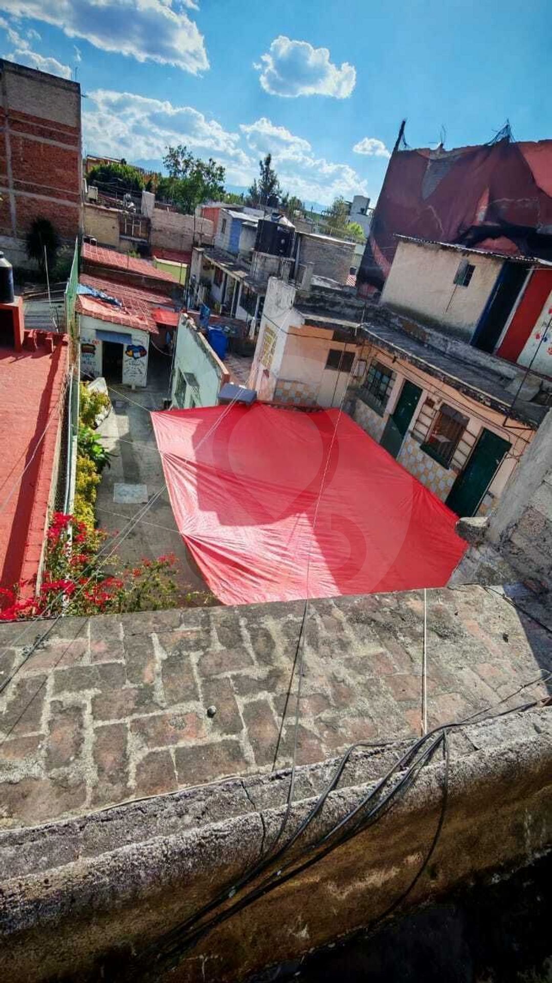 6 de 6