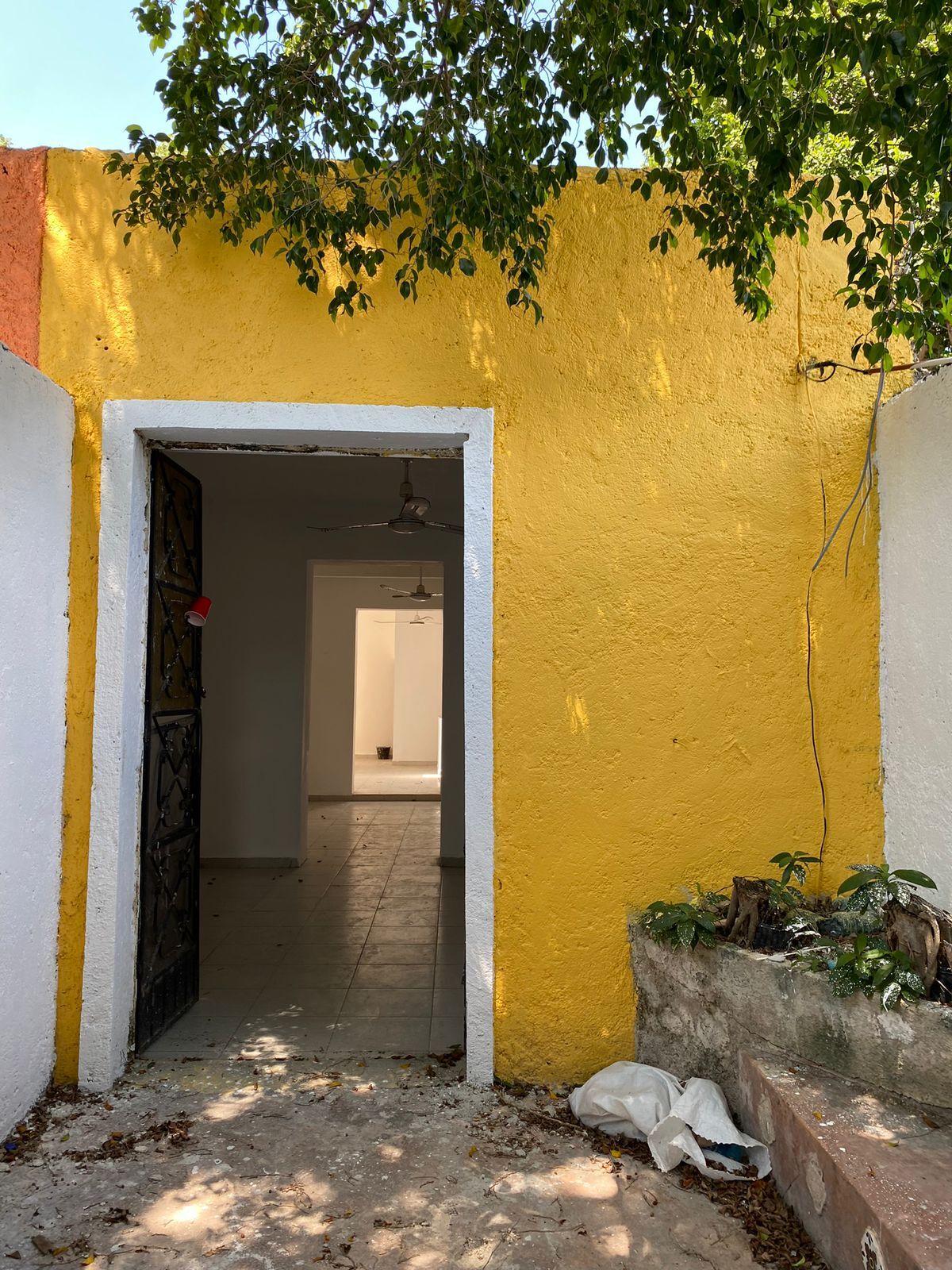 4 de 17