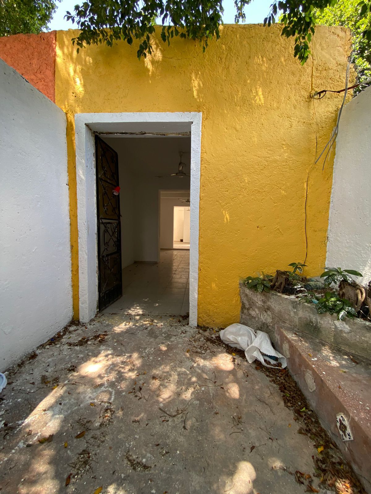 6 de 17