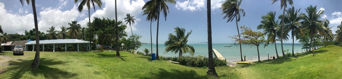 7 de 12
