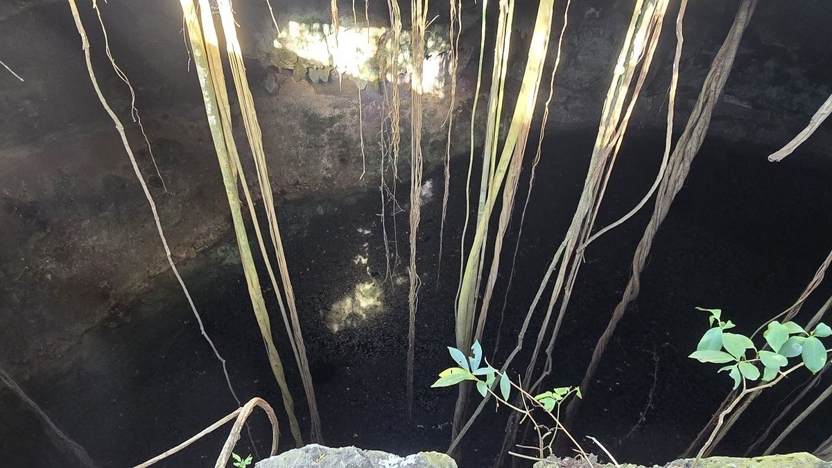 1 de 29: Cenote abierto, gran tamaño