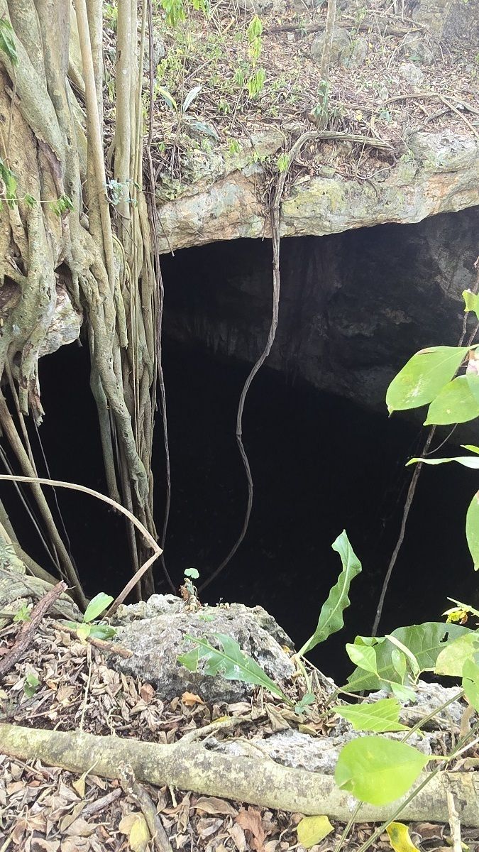 4 de 29: Otra vista del brocal del cenote