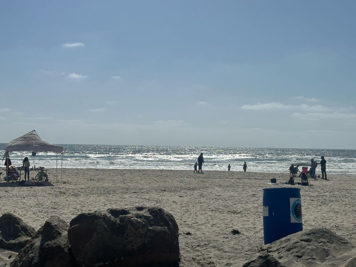 24 de 24