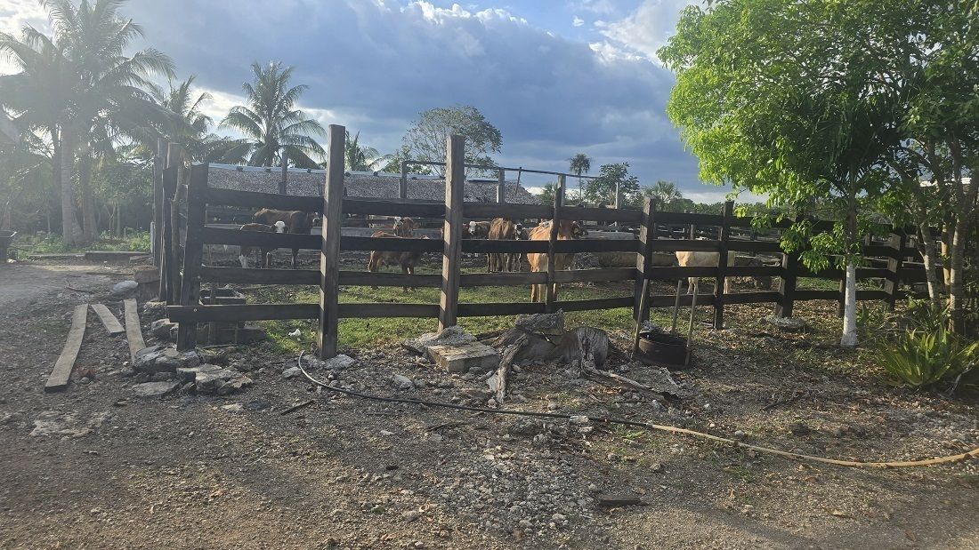 Otra vista del corral