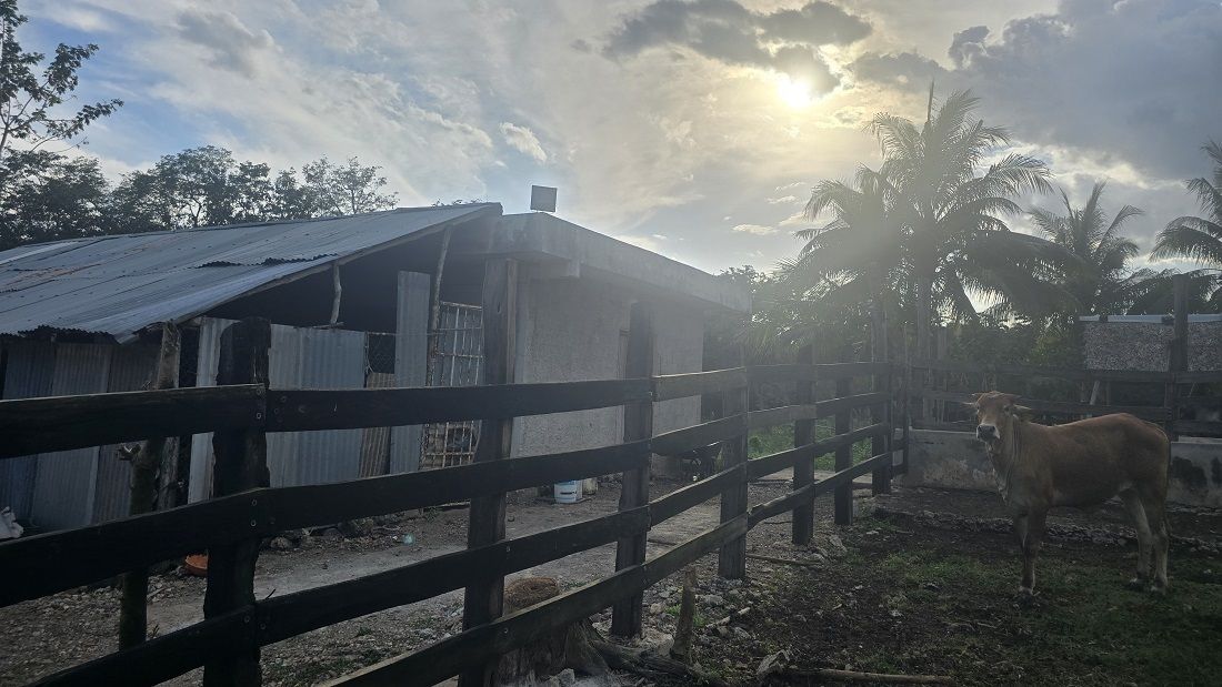 Otra vista del corral de barengas