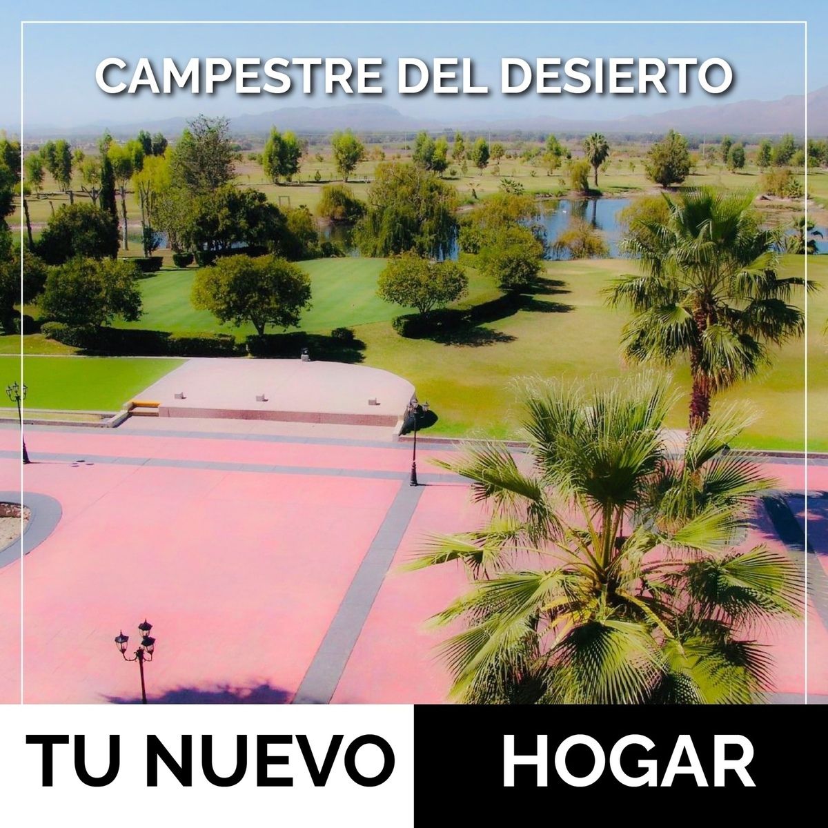 2 de 6