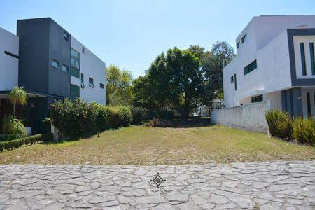 EB-SP2256