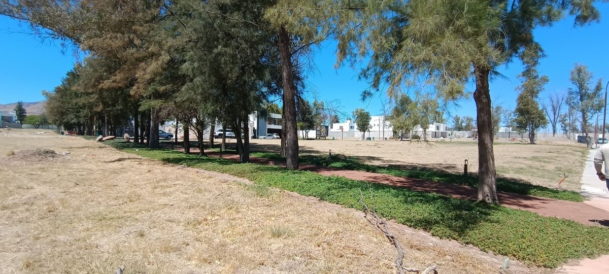 4 de 4