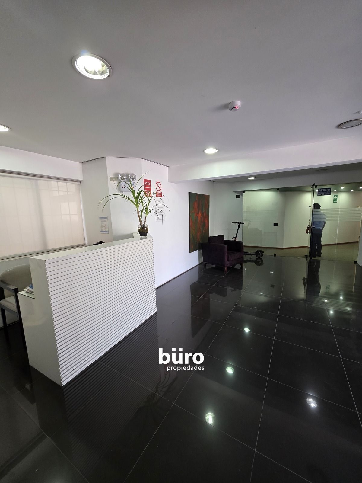 29 de 36: Lobby moderno en el piso 1