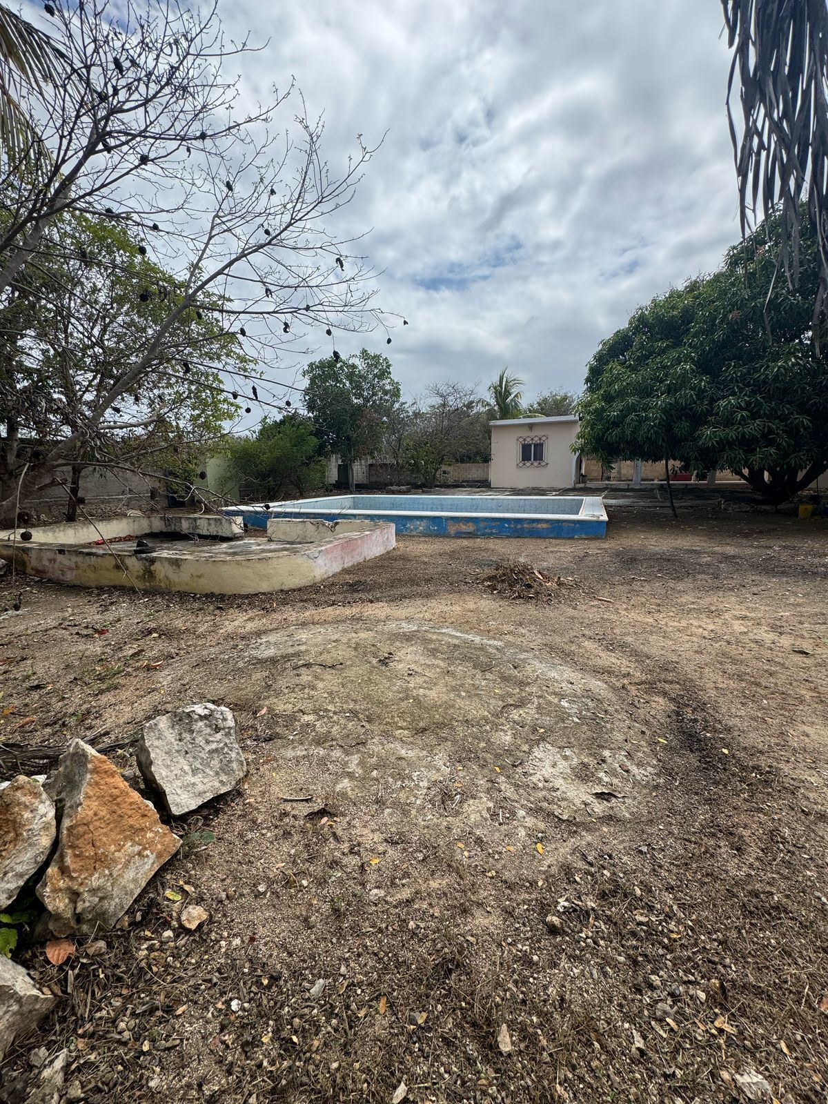 1 de 20