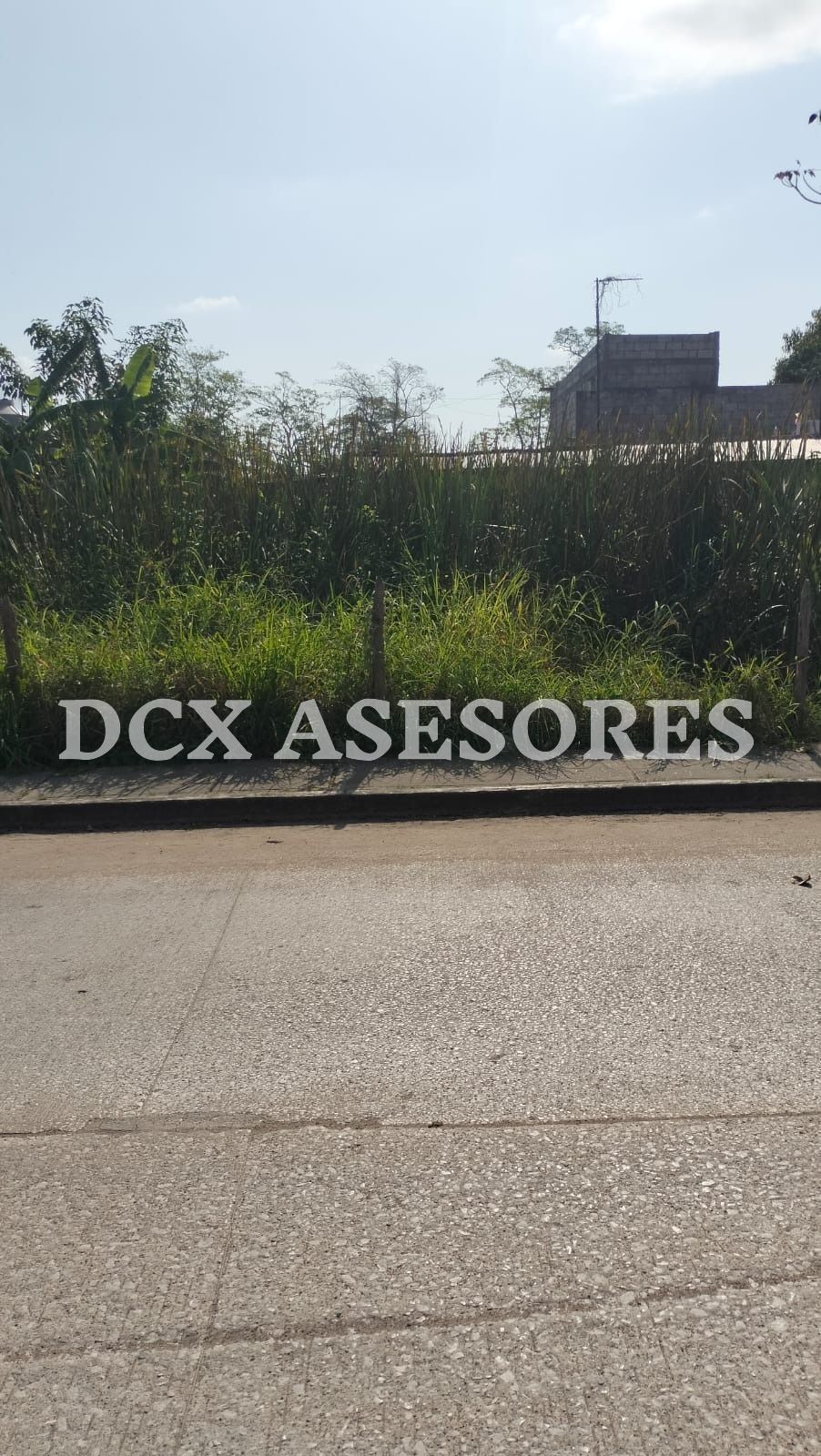 5 de 5