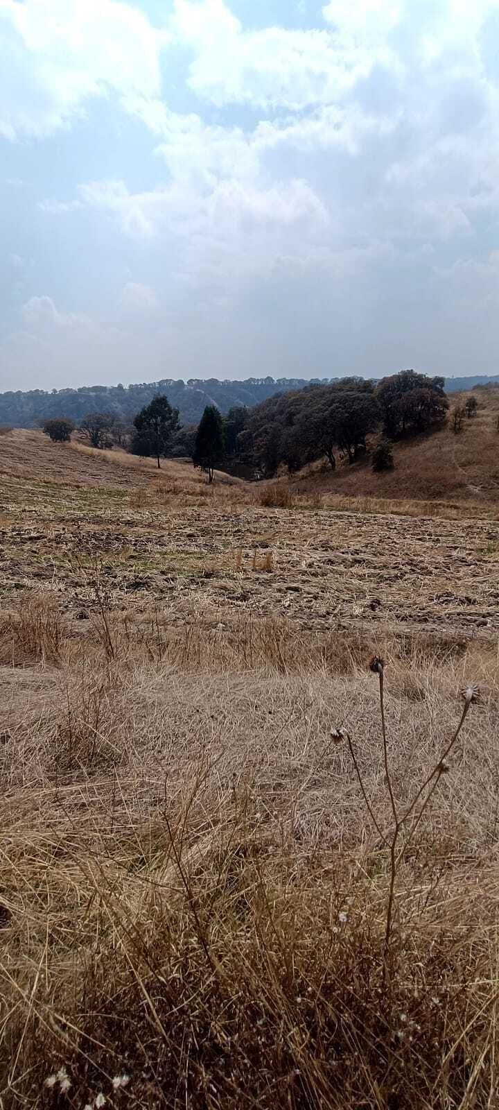 8 de 15
