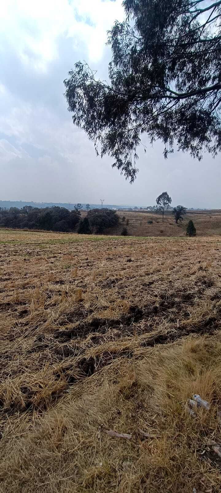 9 de 15