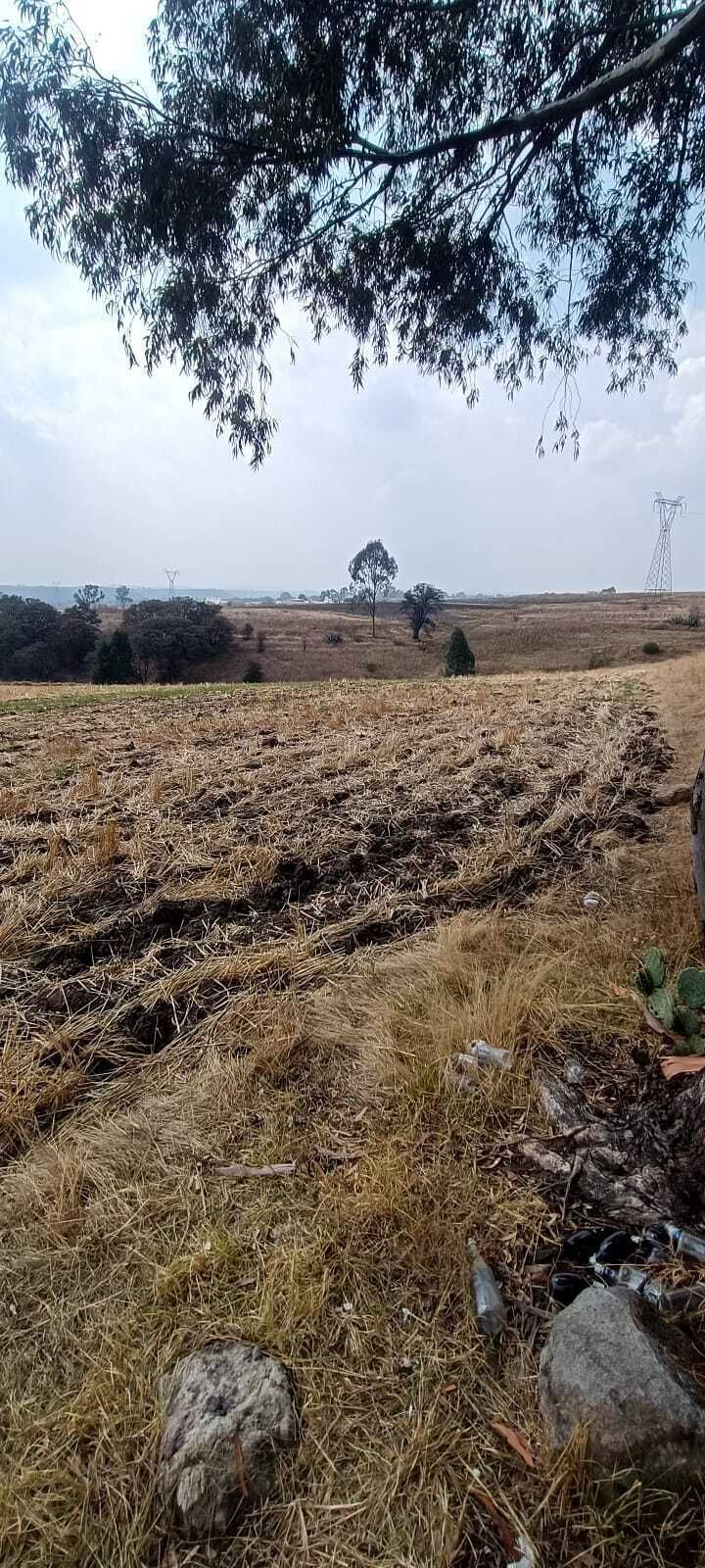 10 de 15