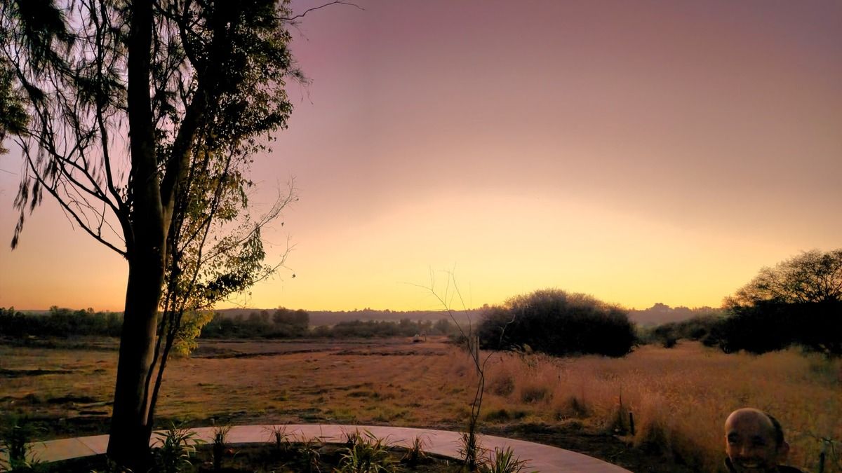 Imagen 4 de 4