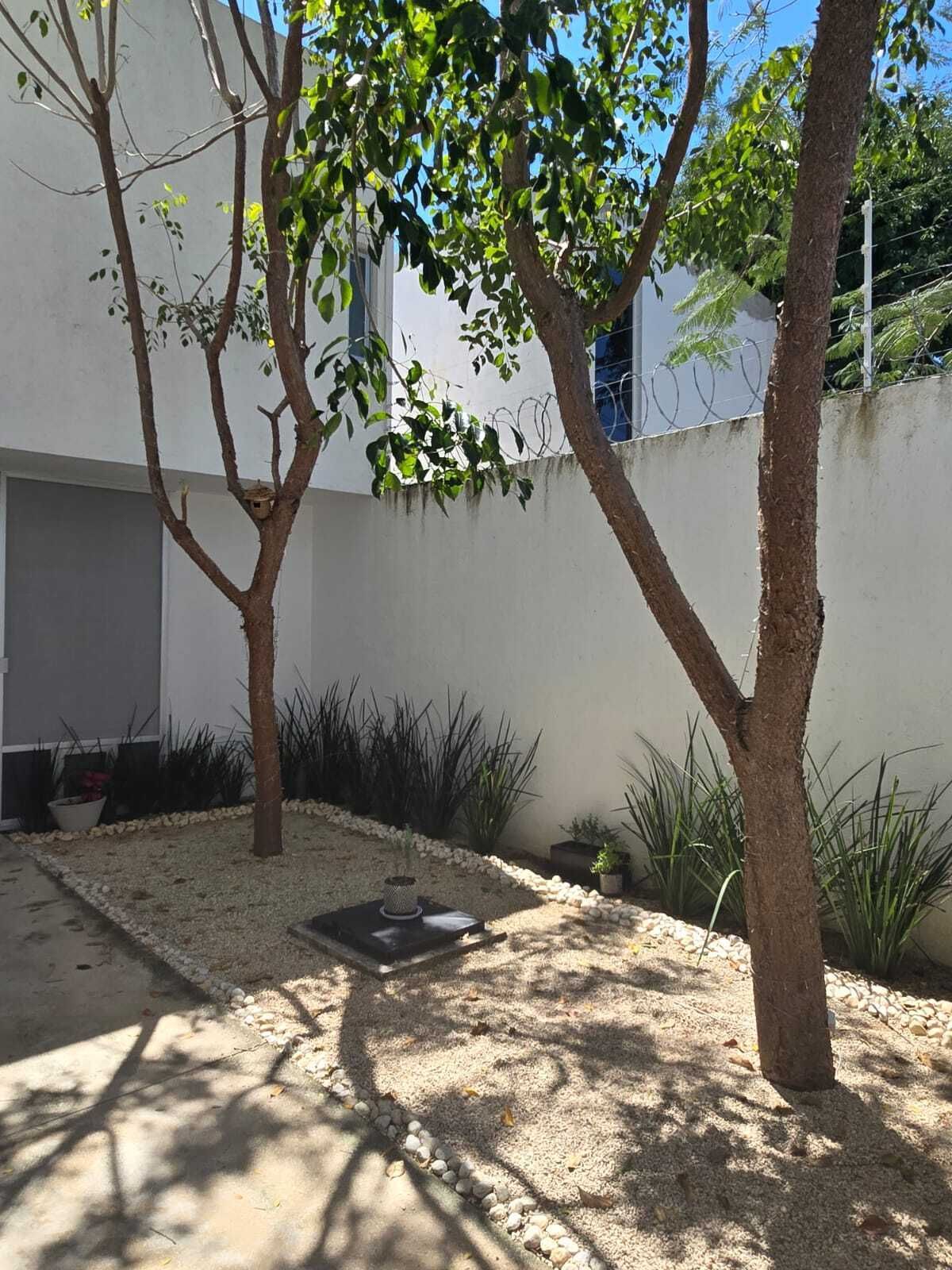 7 de 31
