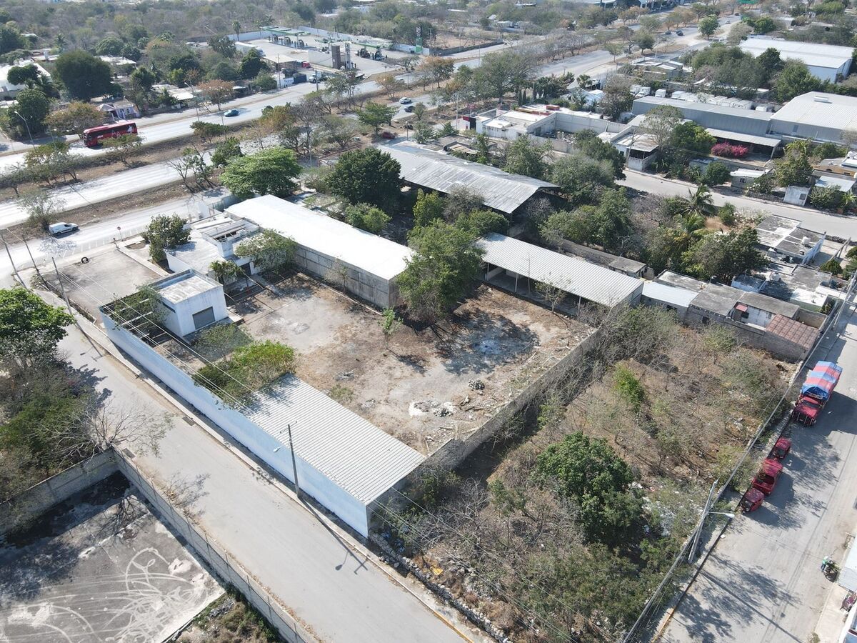 11 de 20