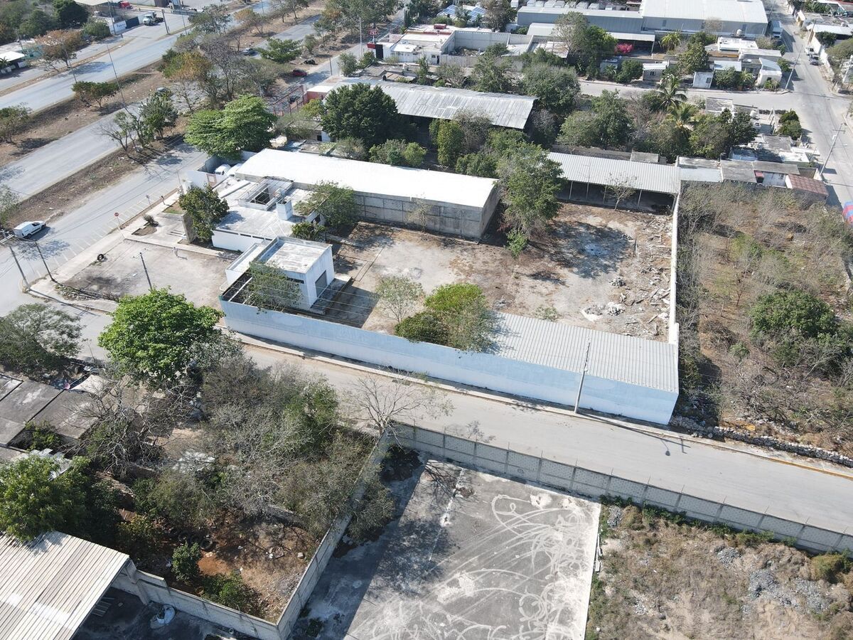 11 de 20