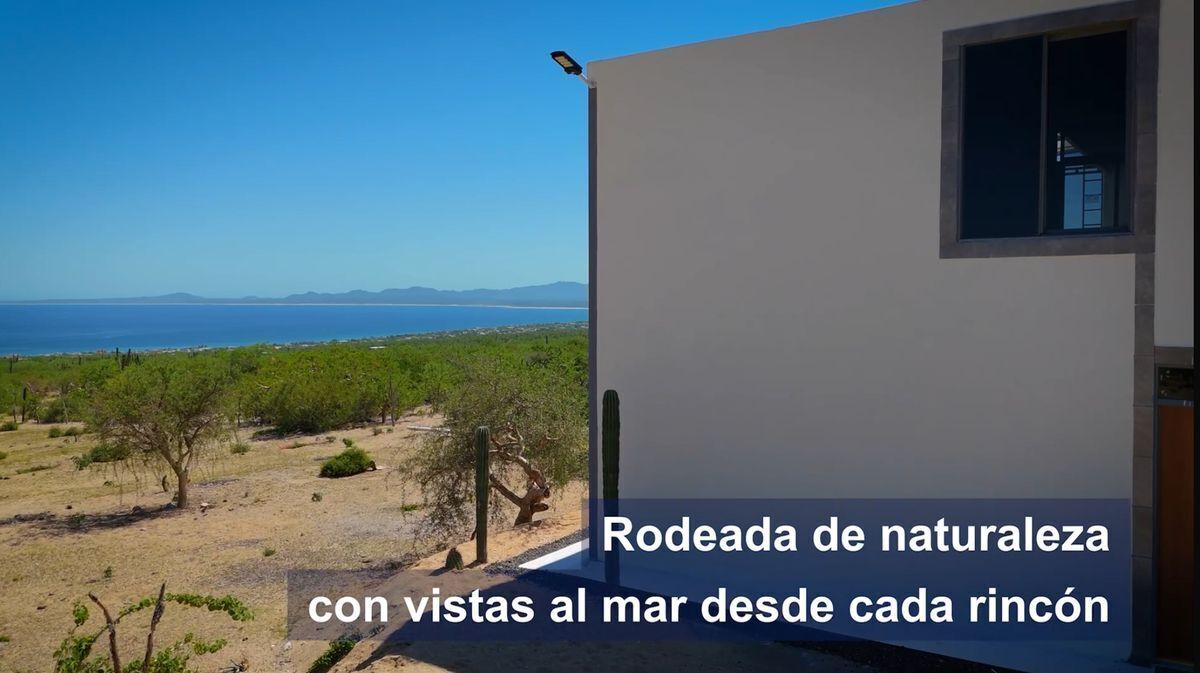 19 de 22
