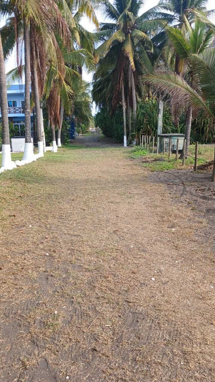 2 de 4