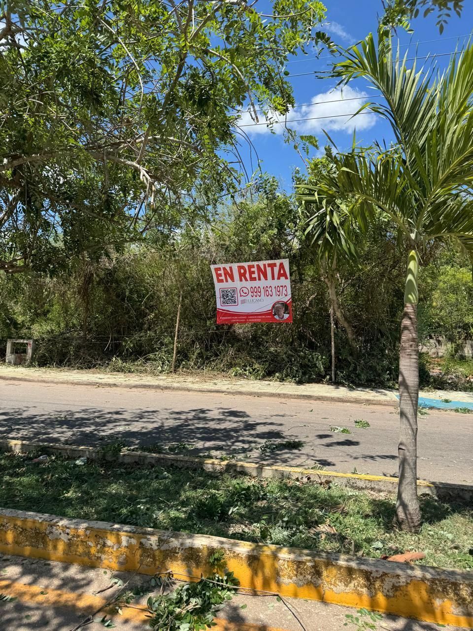 9 de 12