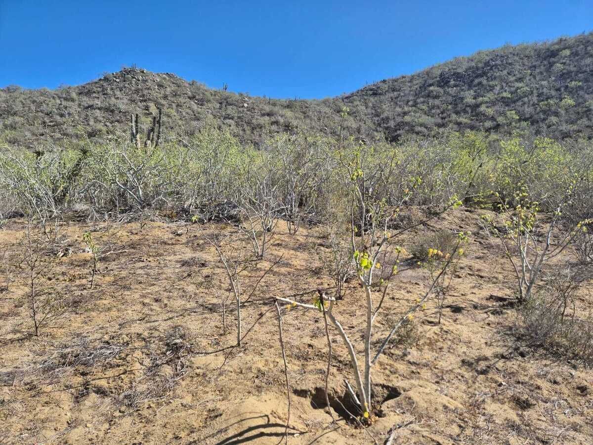 13 de 20