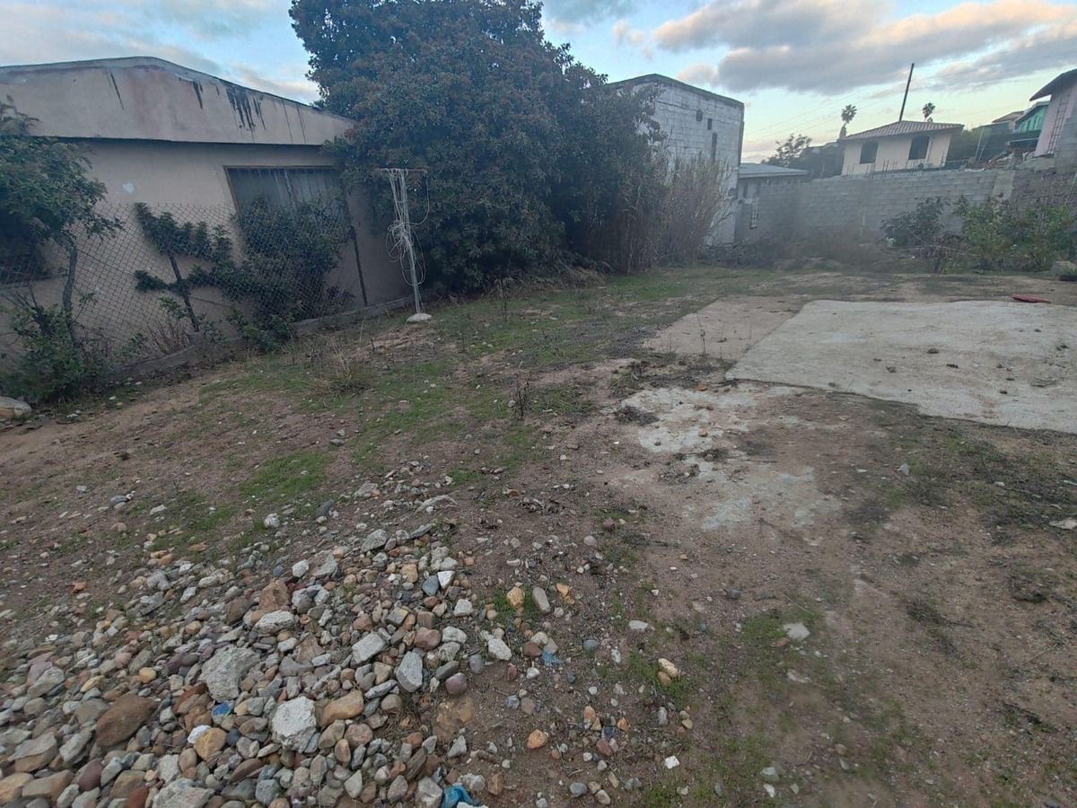 Imagen 3 de 4