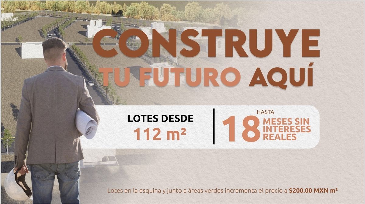 11 de 12
