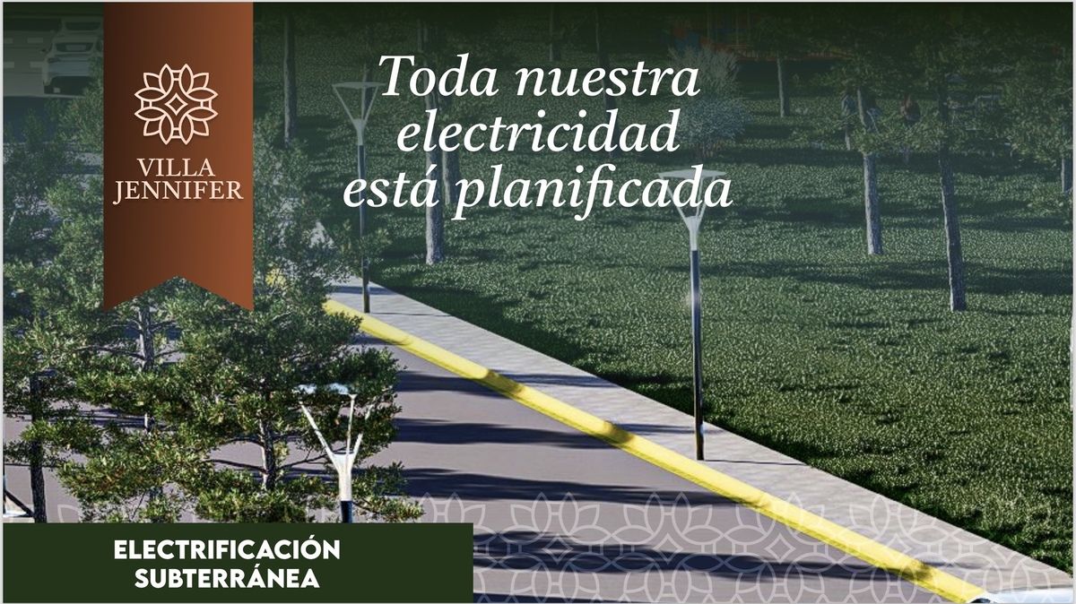 7 de 12