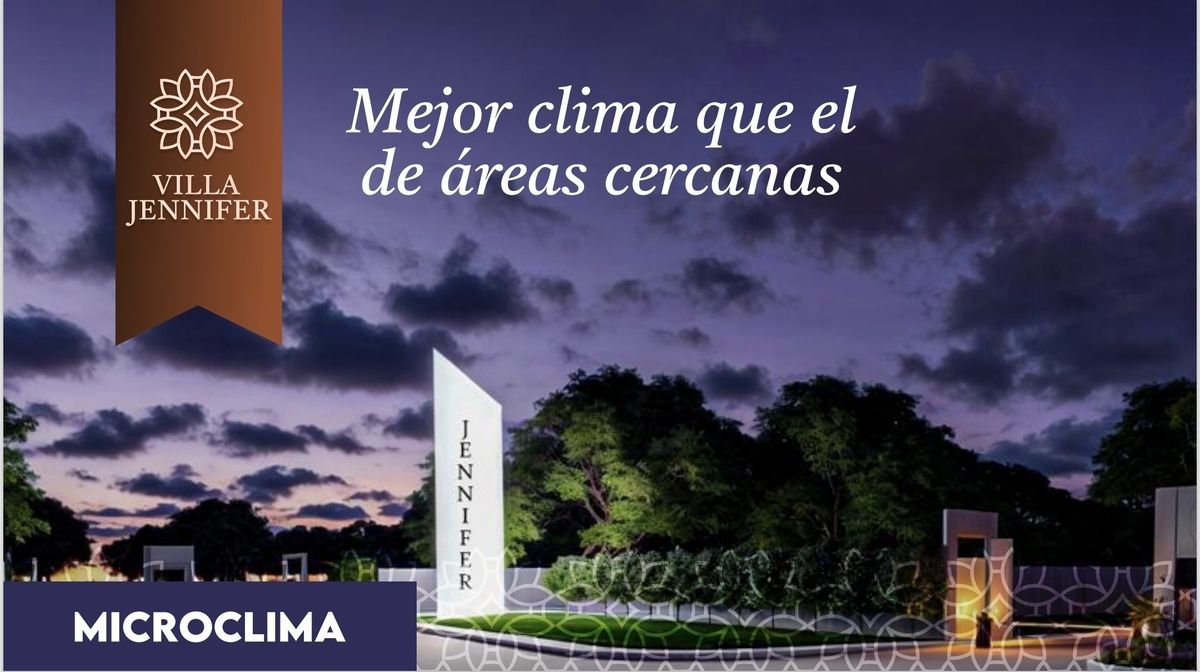 10 de 12