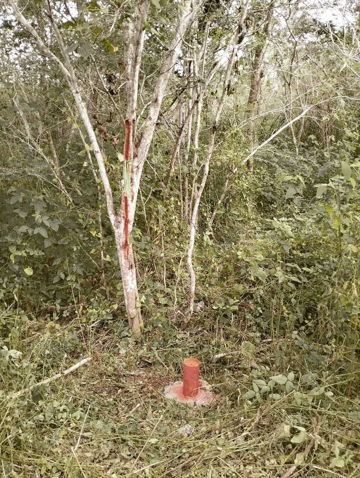 3 de 10